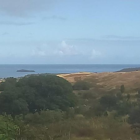 ホテル Sur La Route Des Tortues La Ferme エクステリア 写真